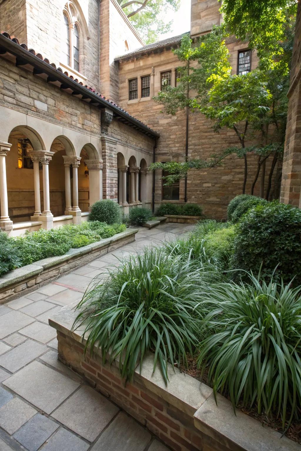 Greenery of liriope enlivens courtyard corners, creating vibrant retreats.