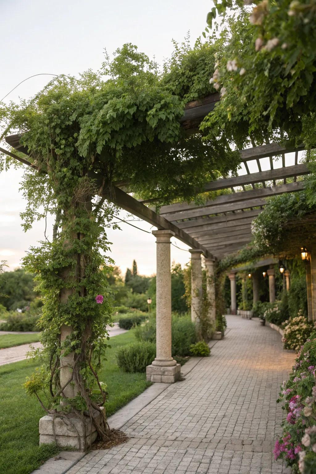 A canopy offers shade and enhances the garden's charm.