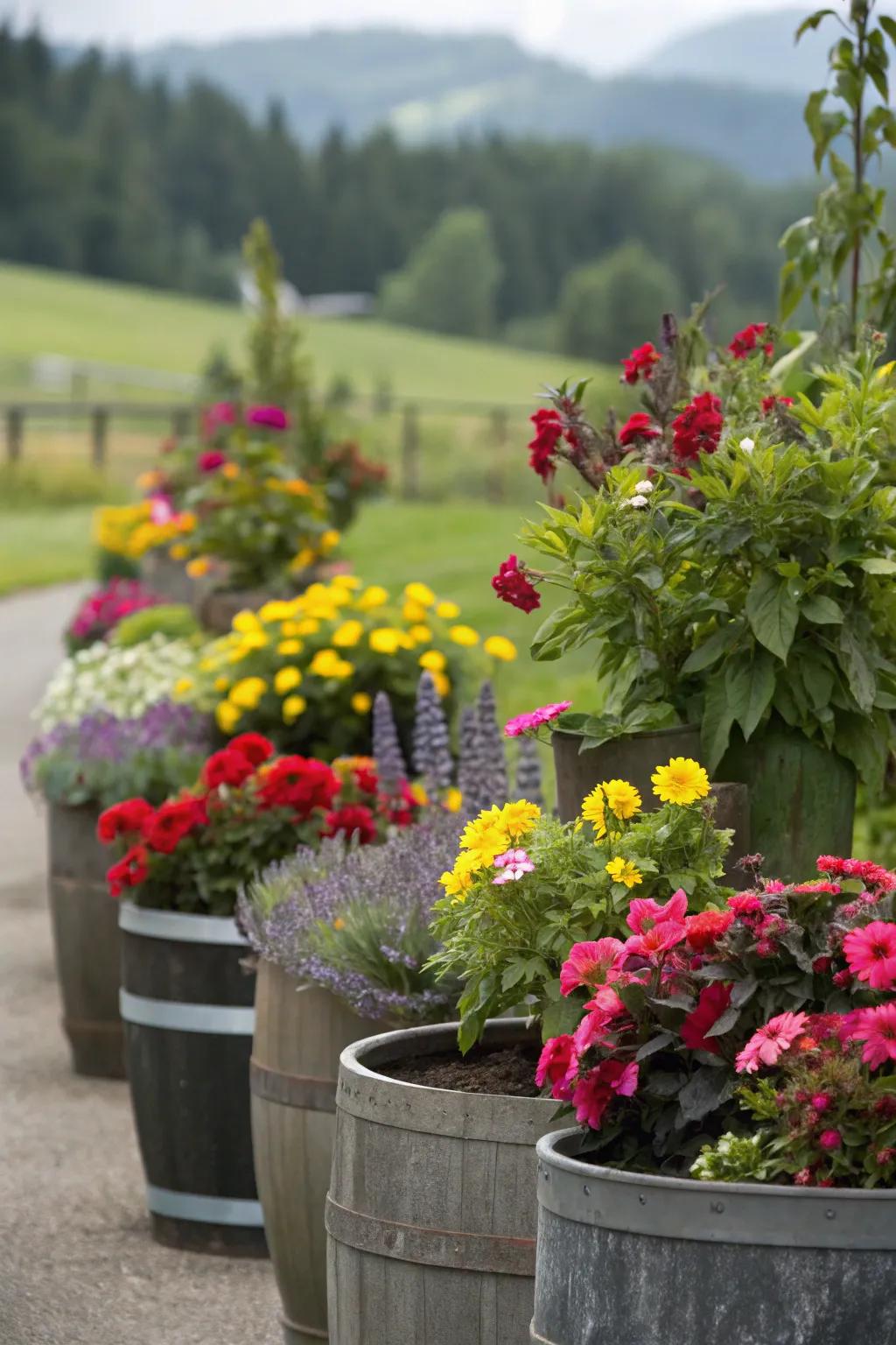 A garden with colourful container gardening.