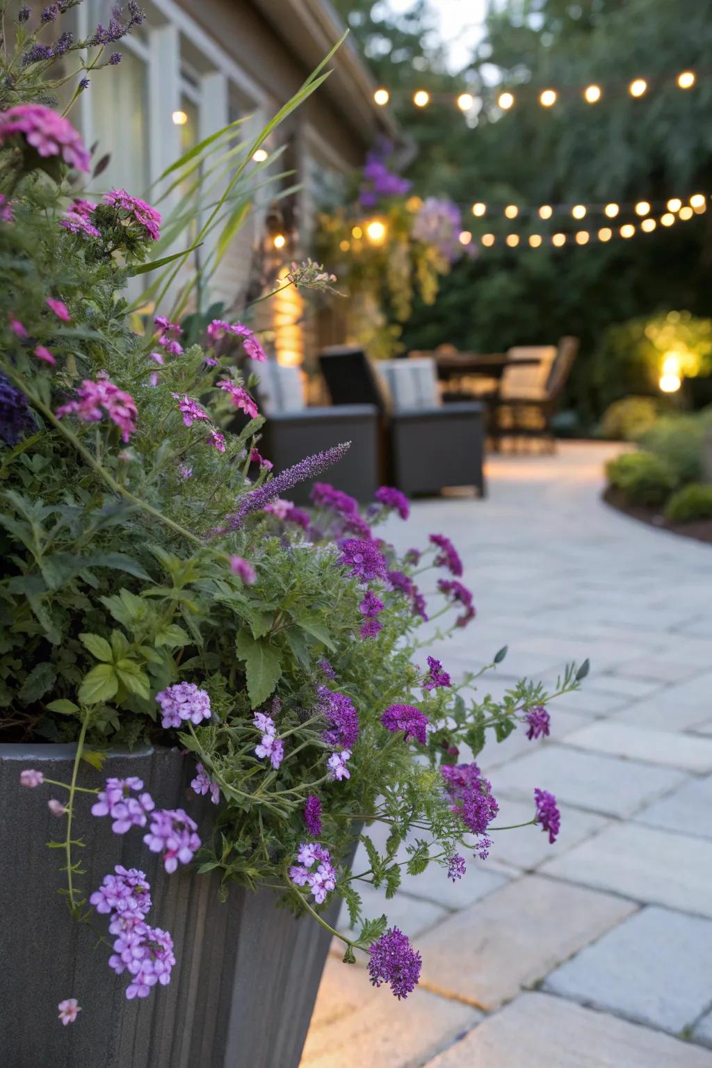 Cascades of color and flutter flower create a magnificent pairing in a container garden.