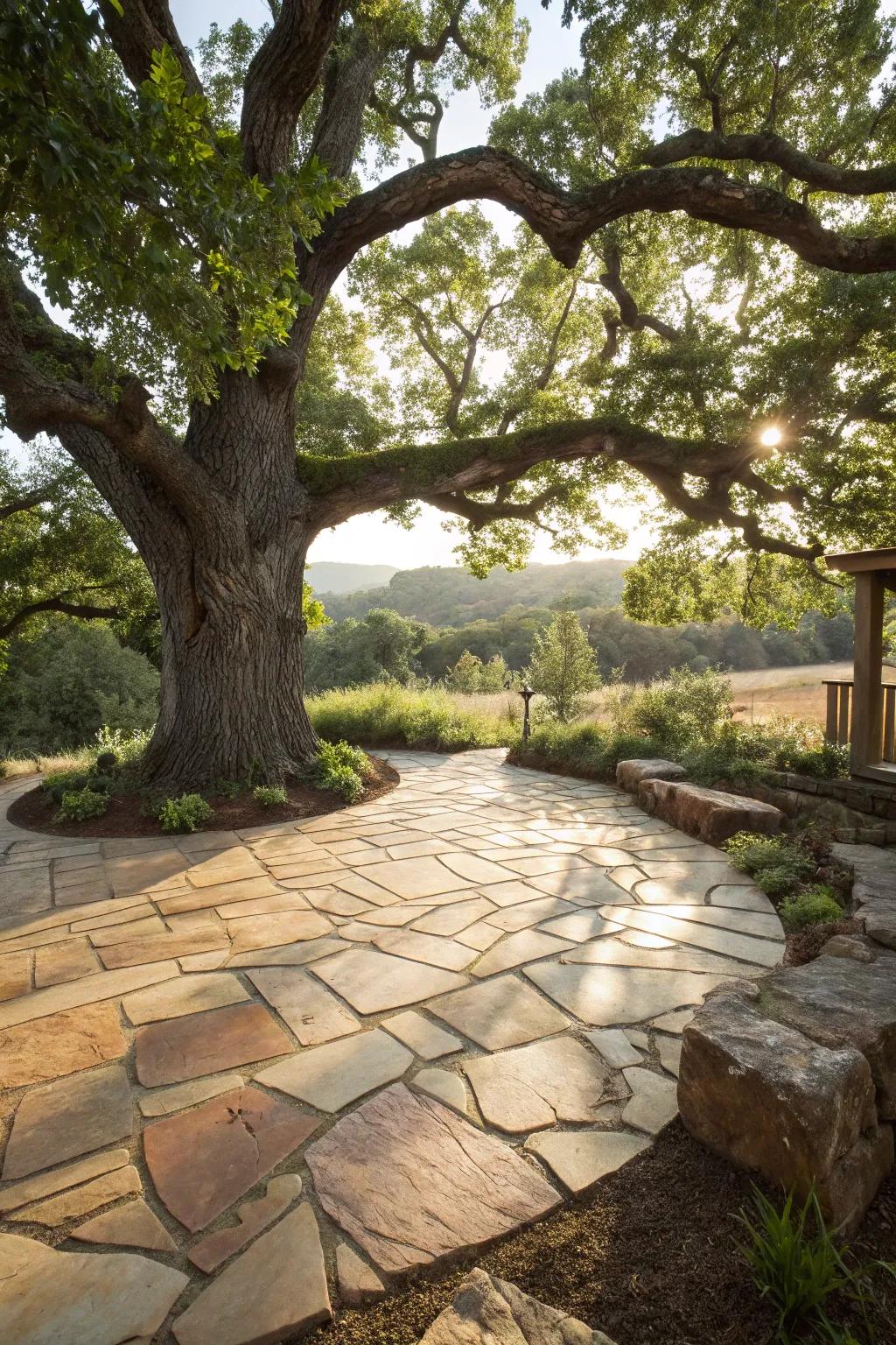 Embrace nature with a stone patio that dances with sunlight and shadows.