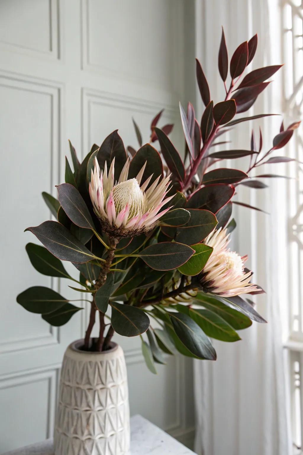 Embrace the art of contrast: Where bold meets subtle in nature's design.