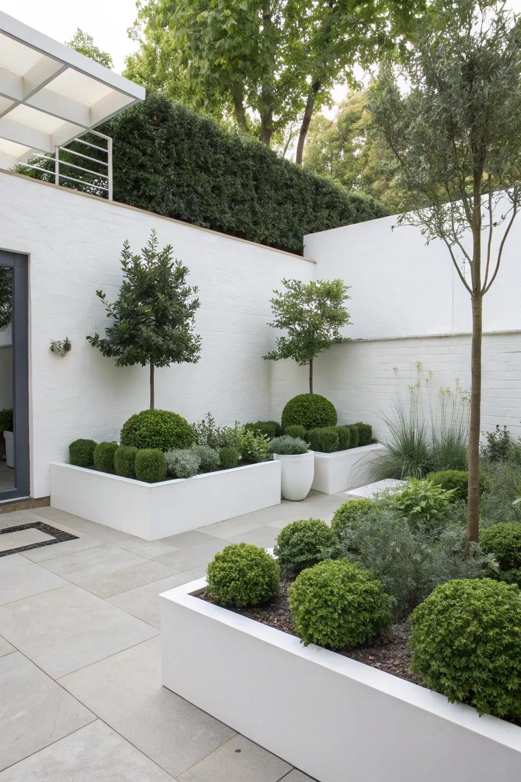 A streamlined garden corner brings modern elegance and simplicity.