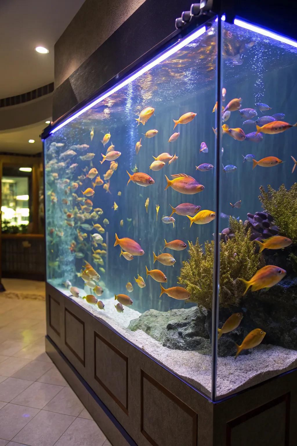 Schooling fish create a mesmerizing display of movement.