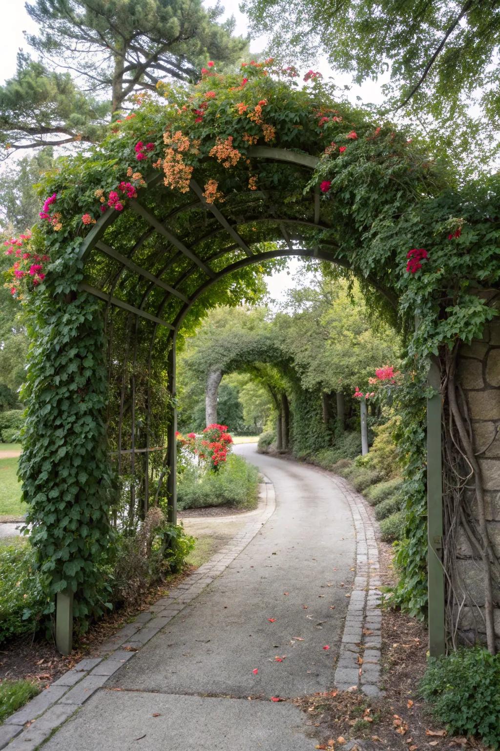 Scaling flora on arches fashion a romantic, stately entrance.