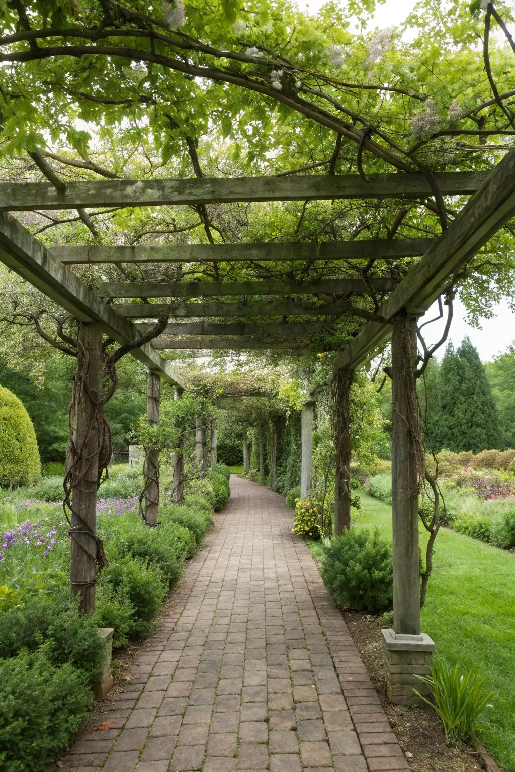 A floating arbor style creates a magical, ethereal garden experience.