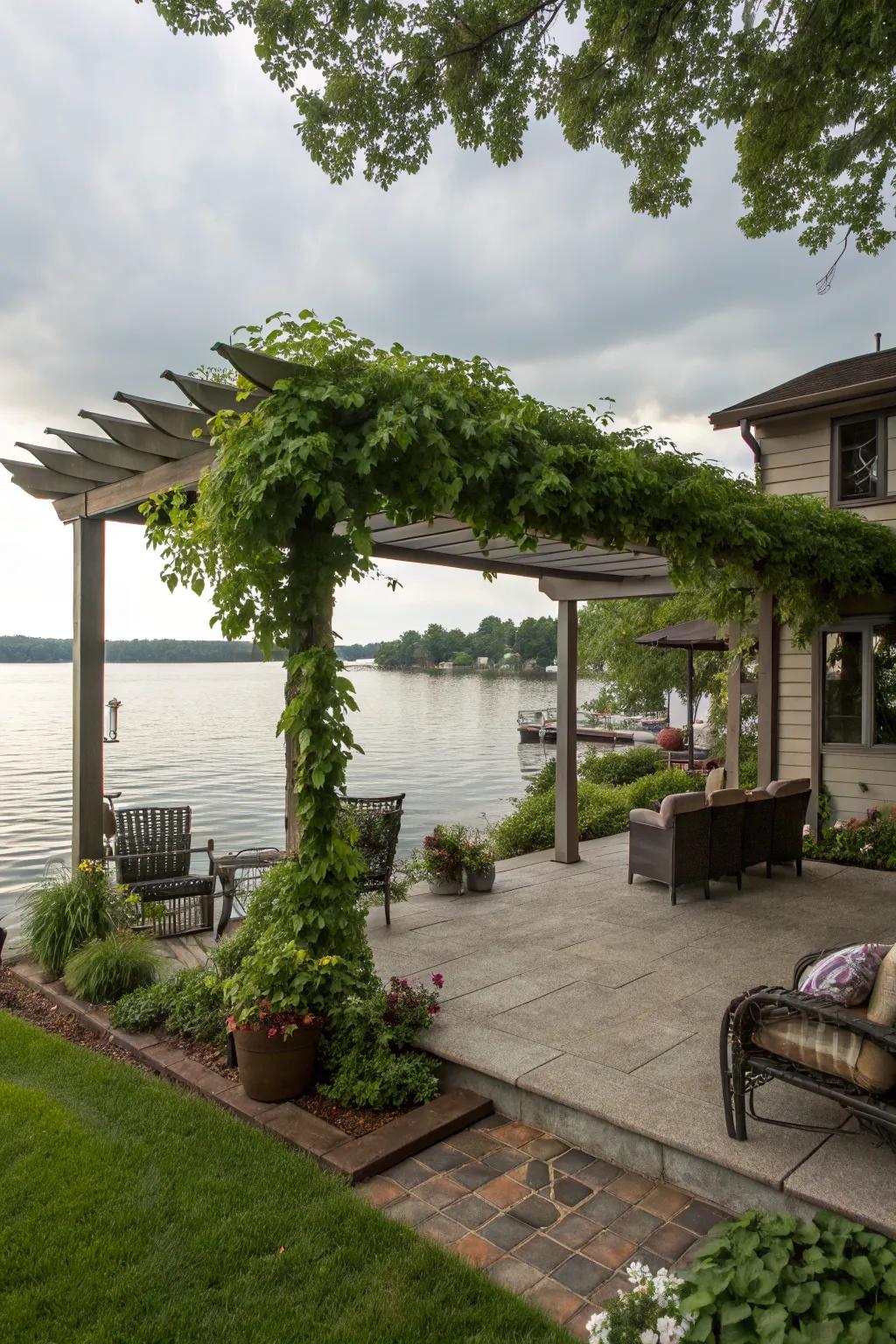 A vine-covered pergola offering shade and style.
