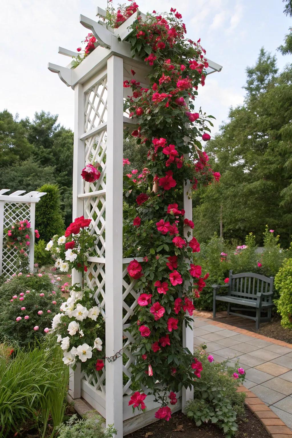 A seasonal themed trellis adds festive charm to a garden with blossoming tropical trumpet.