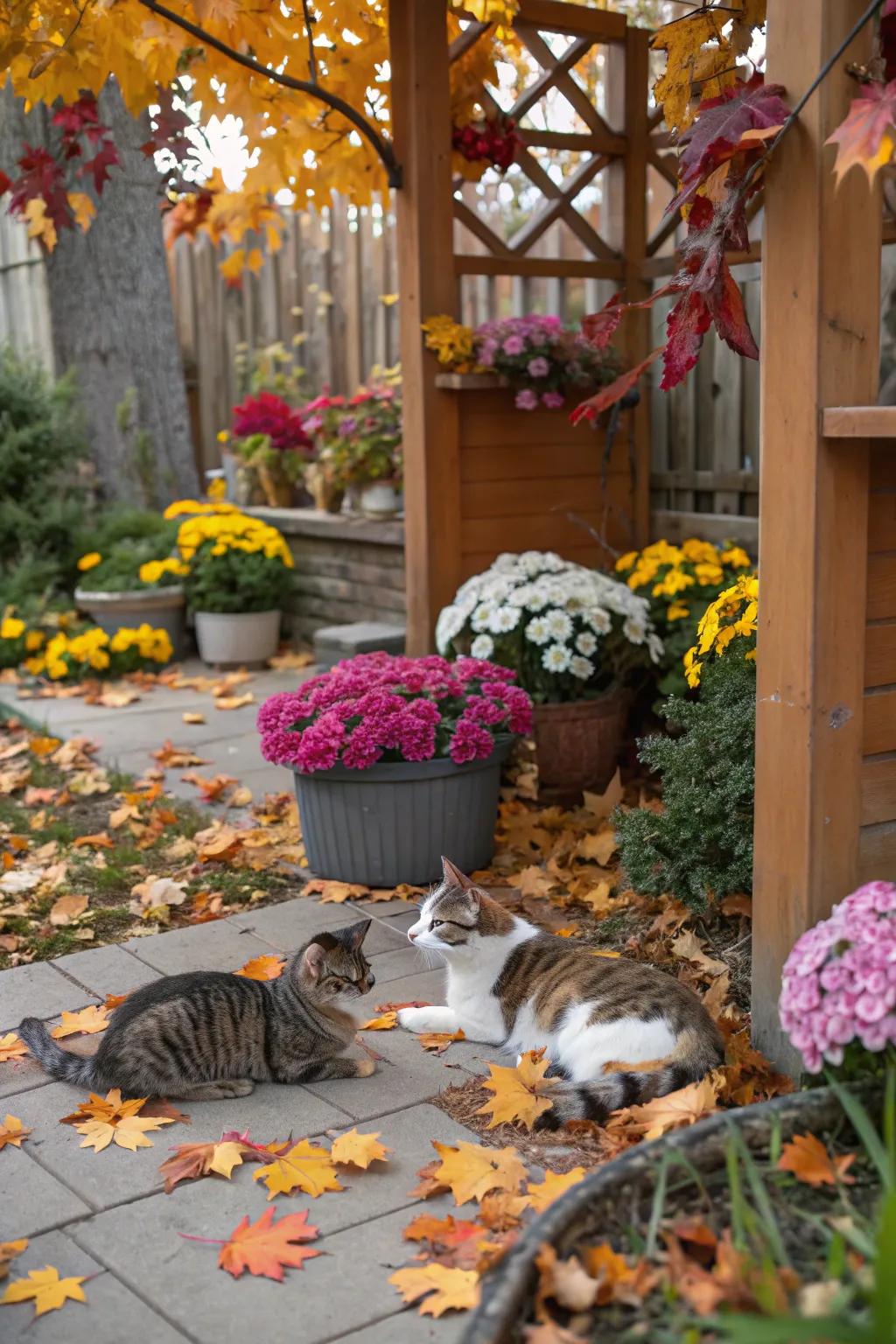 Periodic adornments introduce variety and festivity to your cat's outdoor expanse.