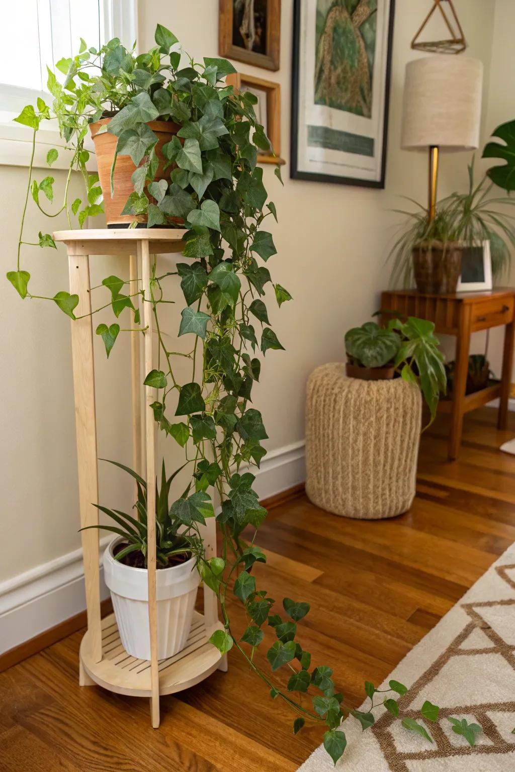 Utilize corners with dedicated plant stands.