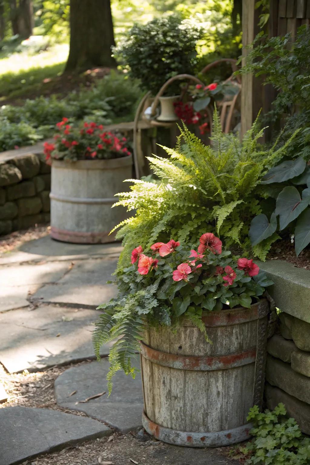 A shaded garden with vintage containers repurposed as holders filled with ferns and begonias.