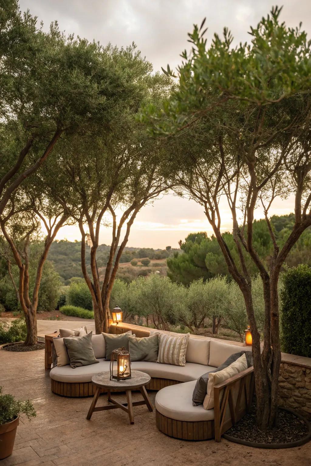 Enjoy seclusion with natural privacy nooks created by trees.