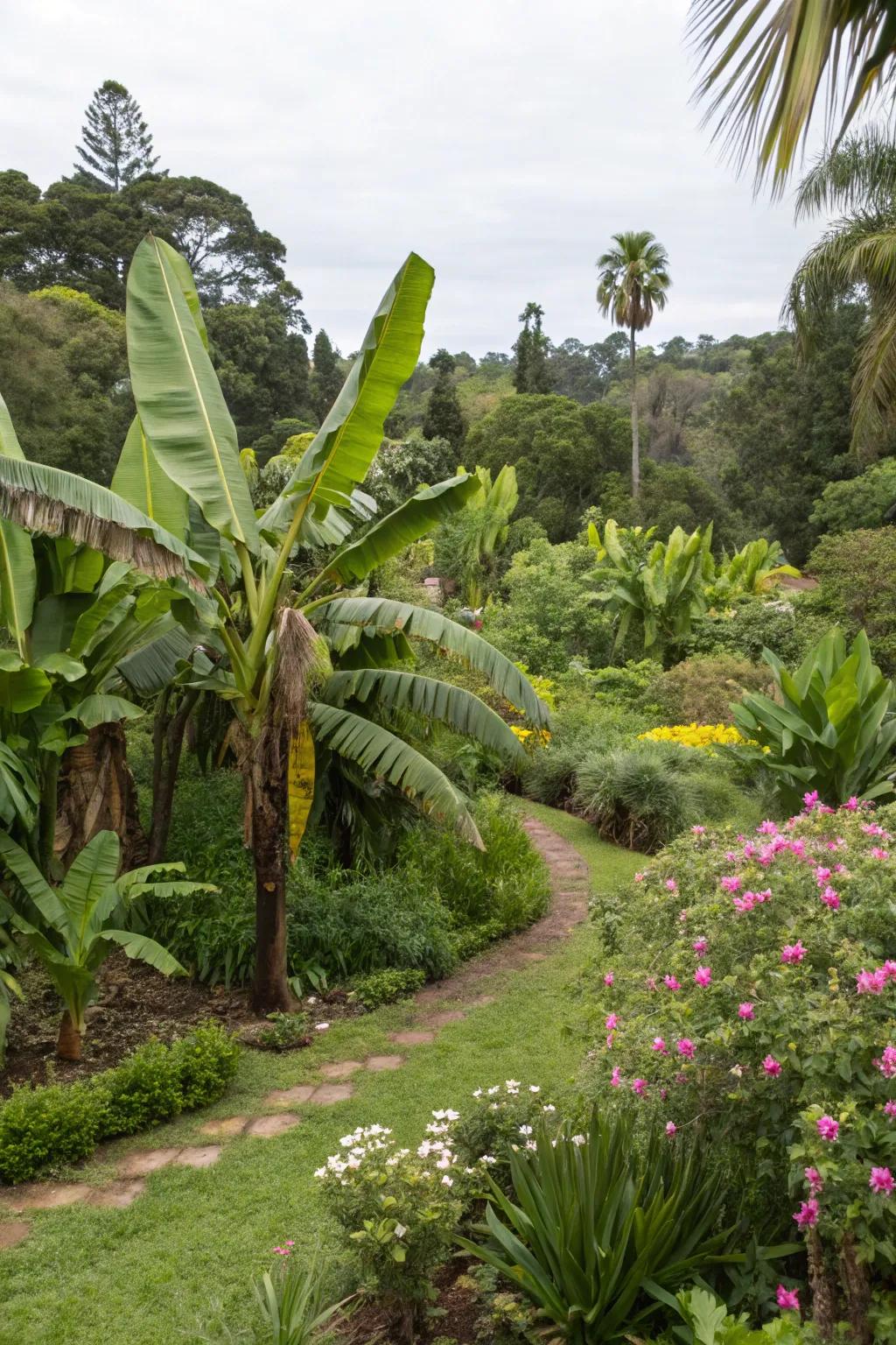 Invite wildlife into your garden with banana trees and nectar-rich flora.