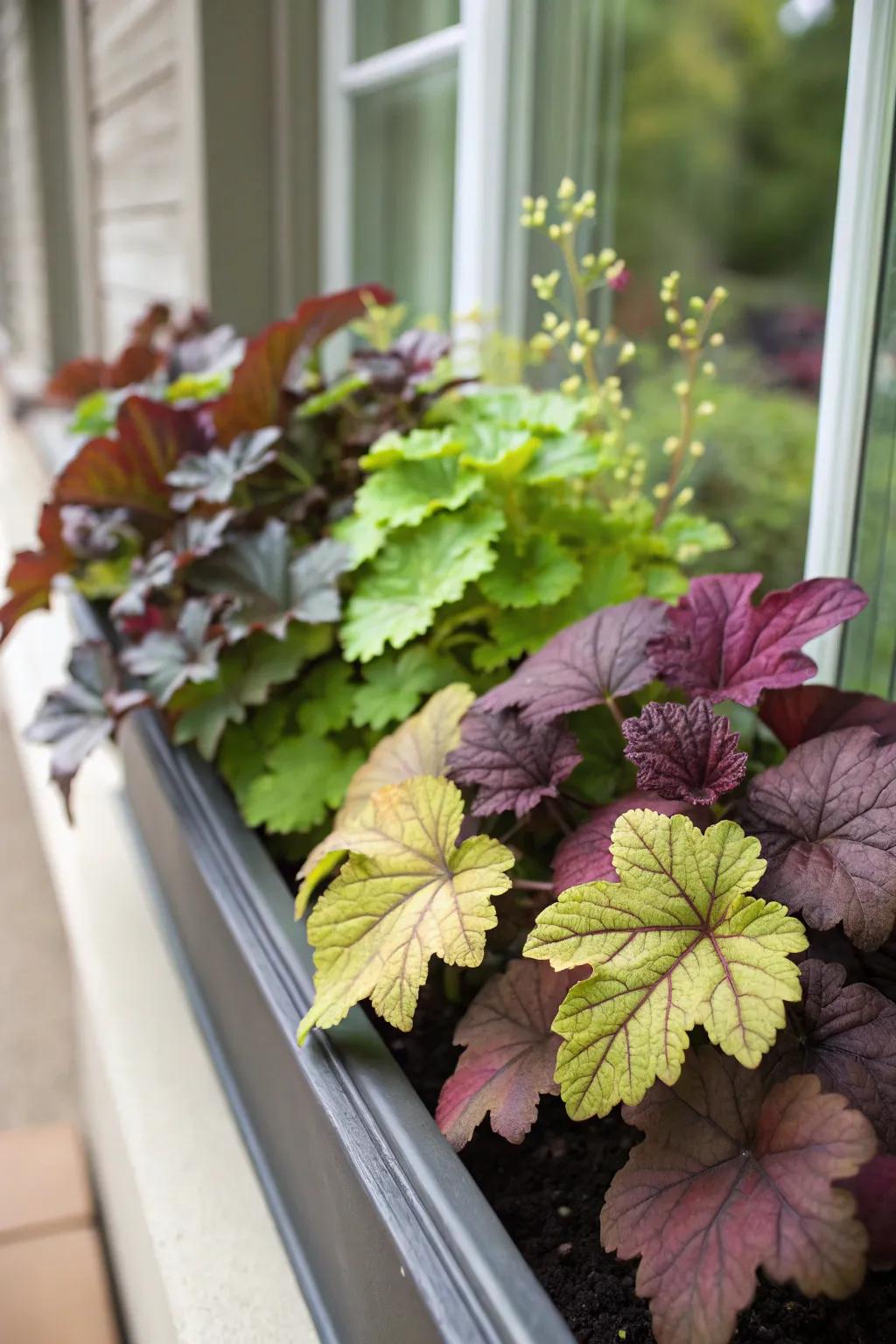 Heuchera adds texture and color diversity.