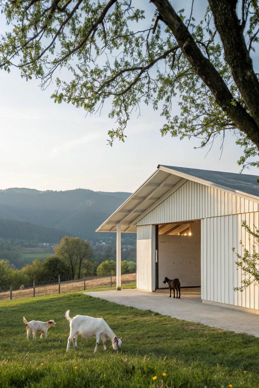 A minimalist goat barn delivers a neat and tranquil atmosphere.