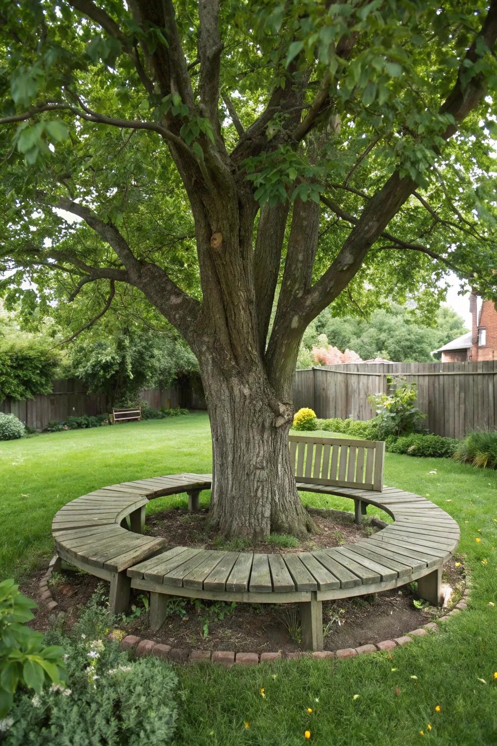 A tree encircled by a wooden bench, creating a welcoming seating area.