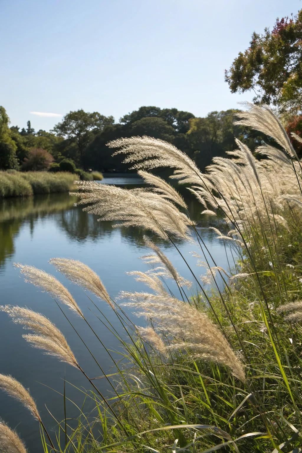 Ornamental grasses adding texture and movement to a pond setting.