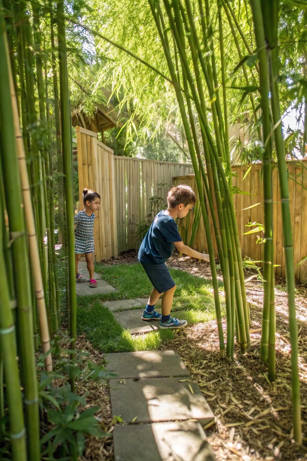 Get lost in the fun with a bamboo maze.