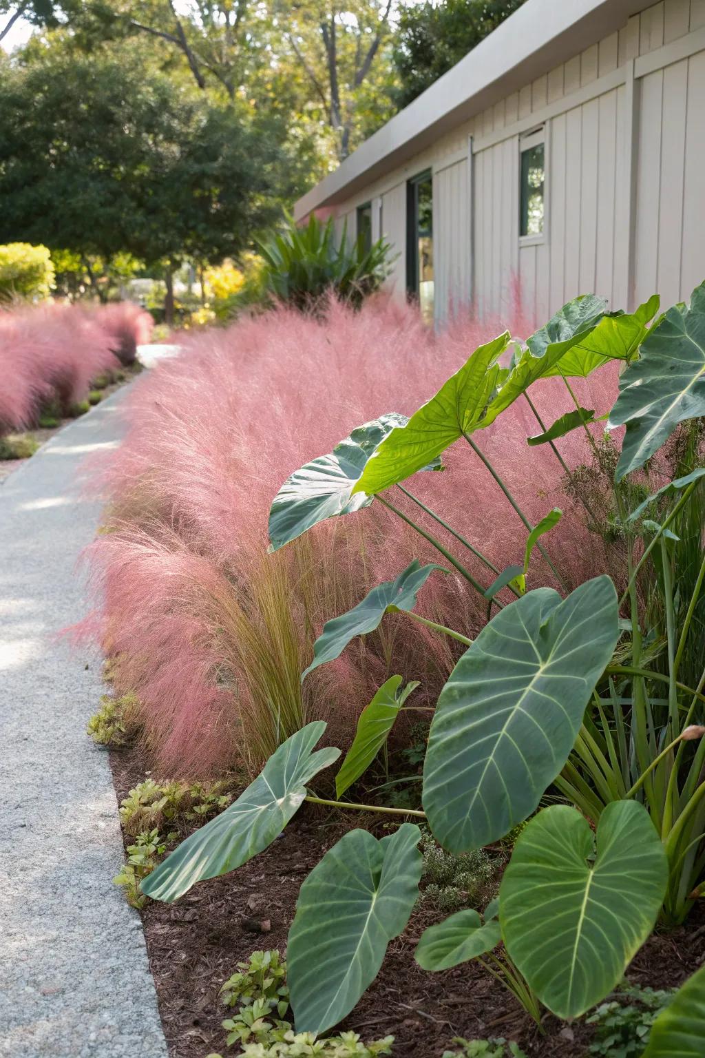 Create drama with pink muhly grass and bold foliage.