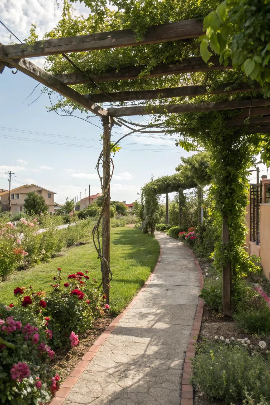Wander through a peaceful pergola pathway retreat.
