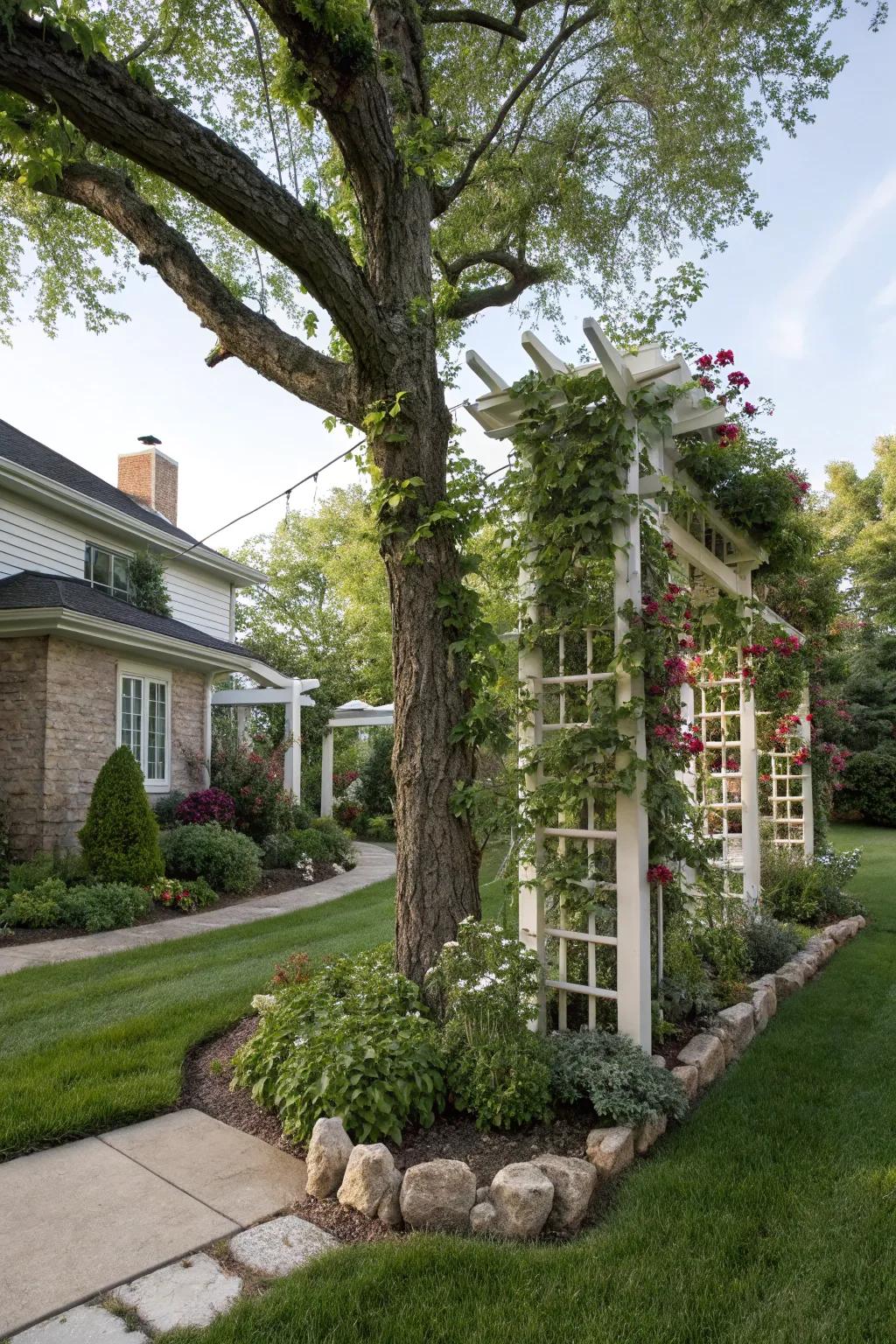 Skyward aspects impart height and intrigue to your tree landscape.