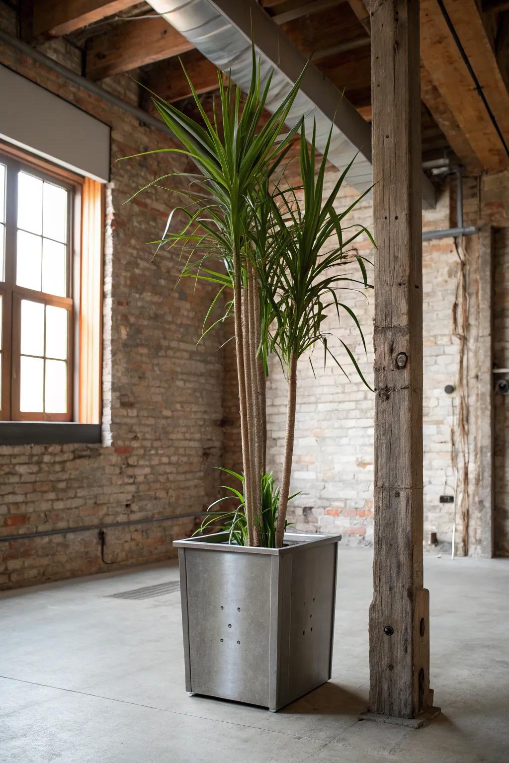 Metal planters add an industrial chic vibe.