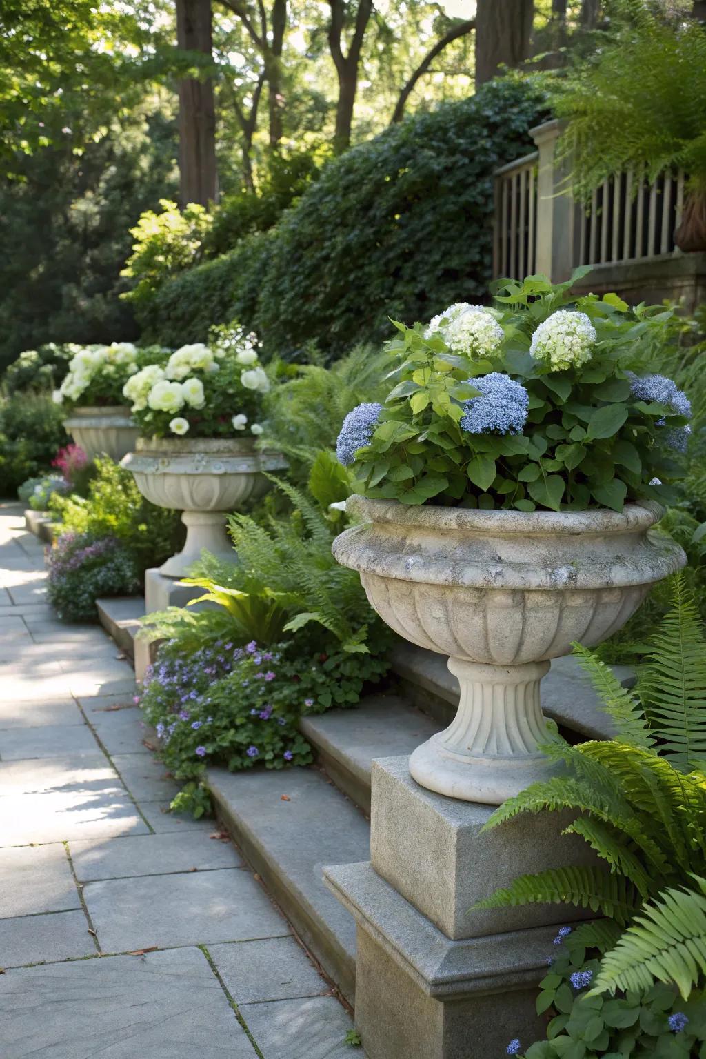 A shaded garden with stylish stone holders exhibiting hydrangeas and ferns.