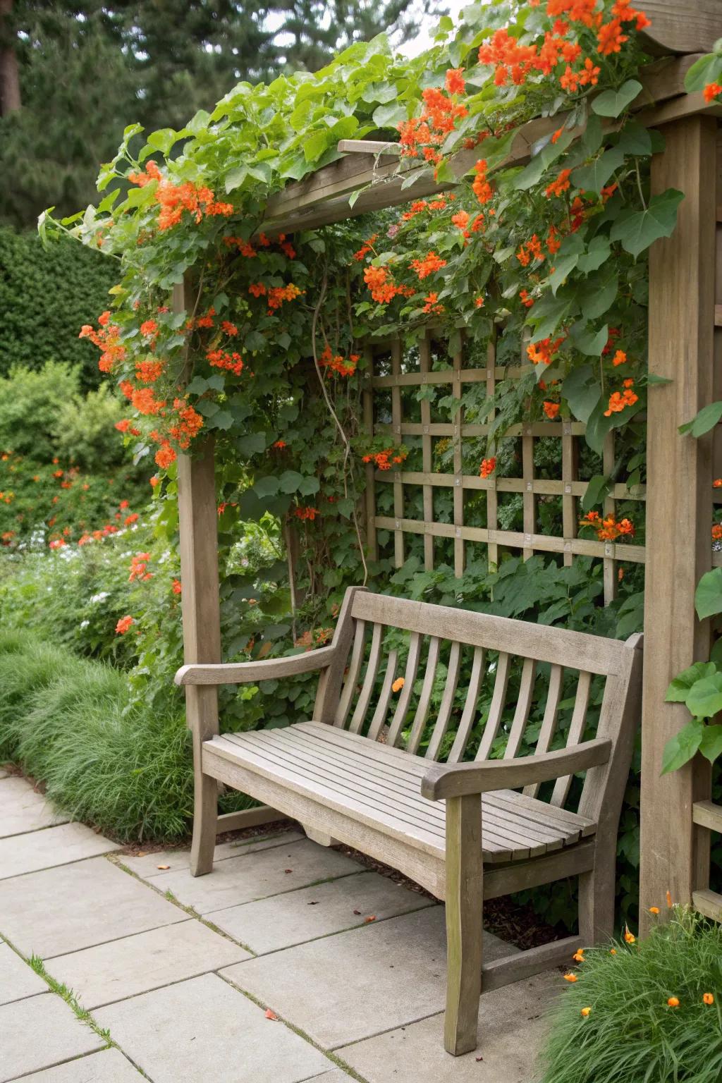 Find tranquility in your garden with a stylish bench trellis adorned with blooming trumpet vines.