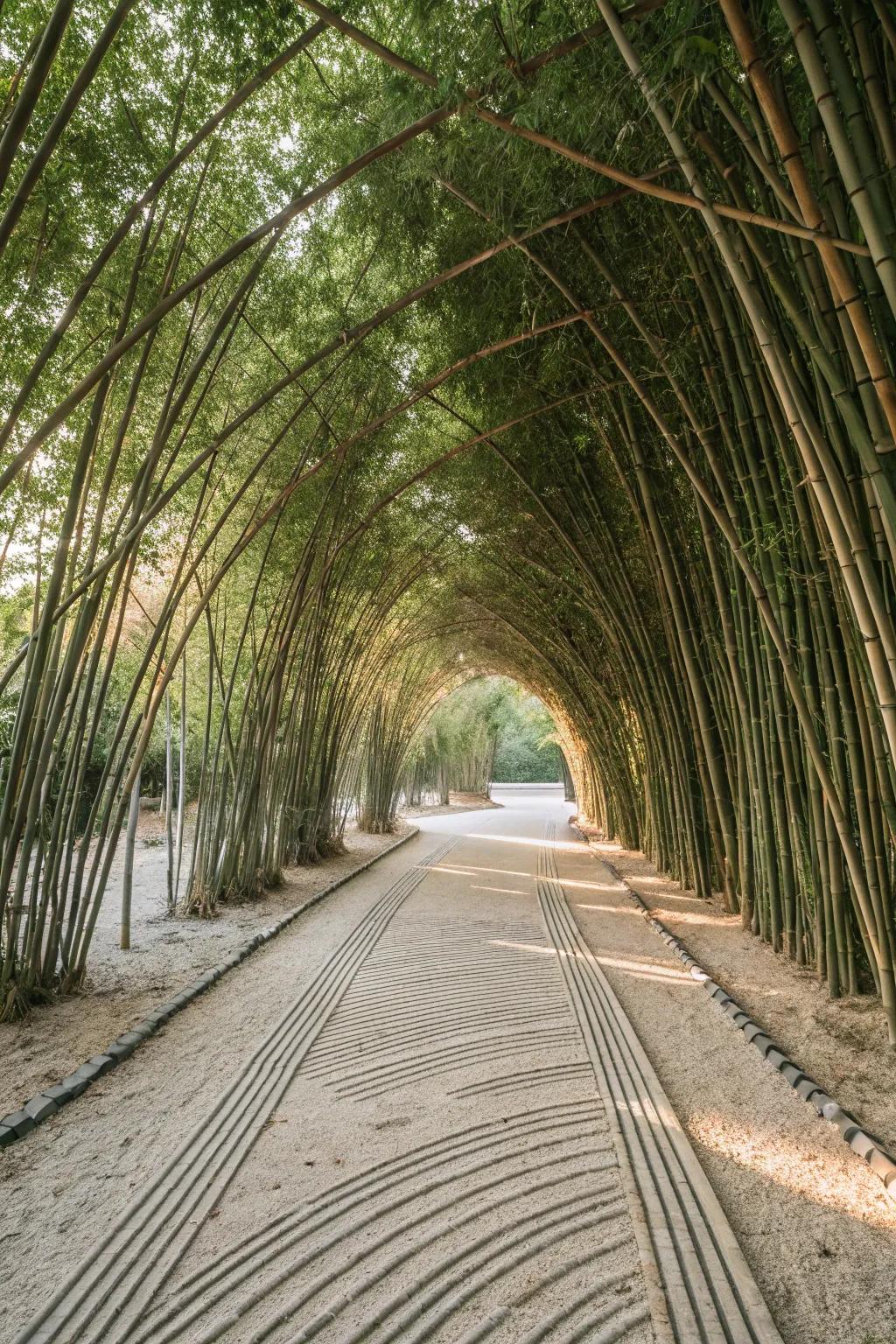 Step into serenity with this Zen-inspired bamboo tunnel, your personal escape to peace and reflection.