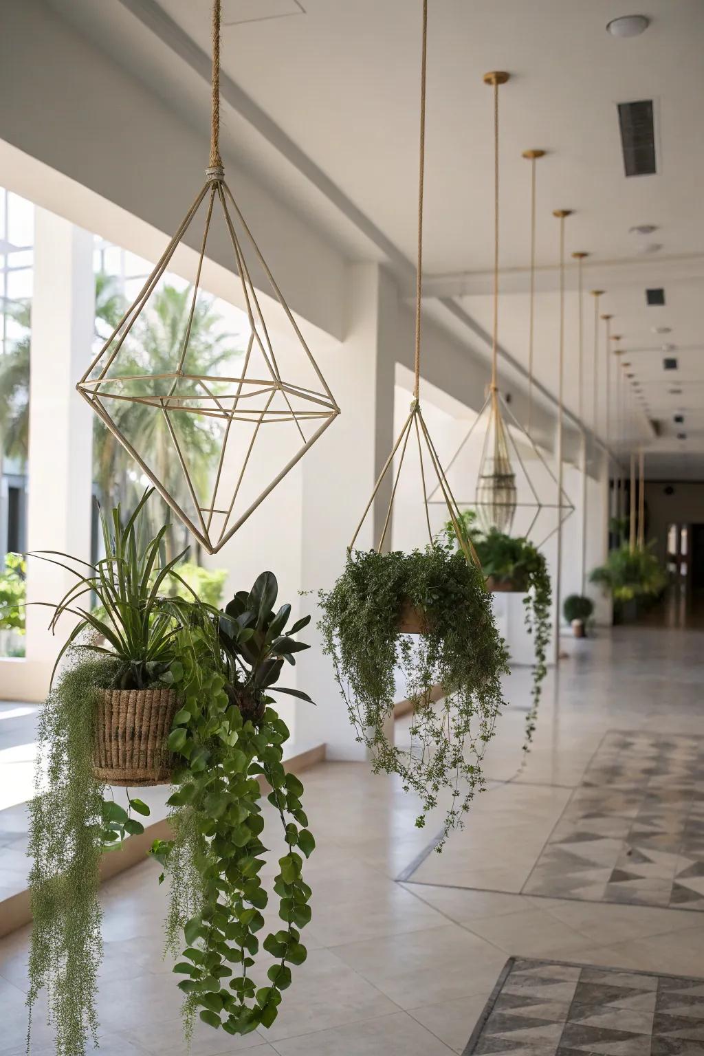 Introduce architecture with geometric wire plant frames.