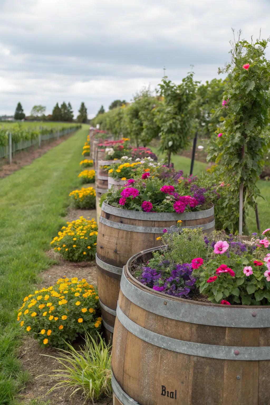 Green and stylish planters made from used barrels.
