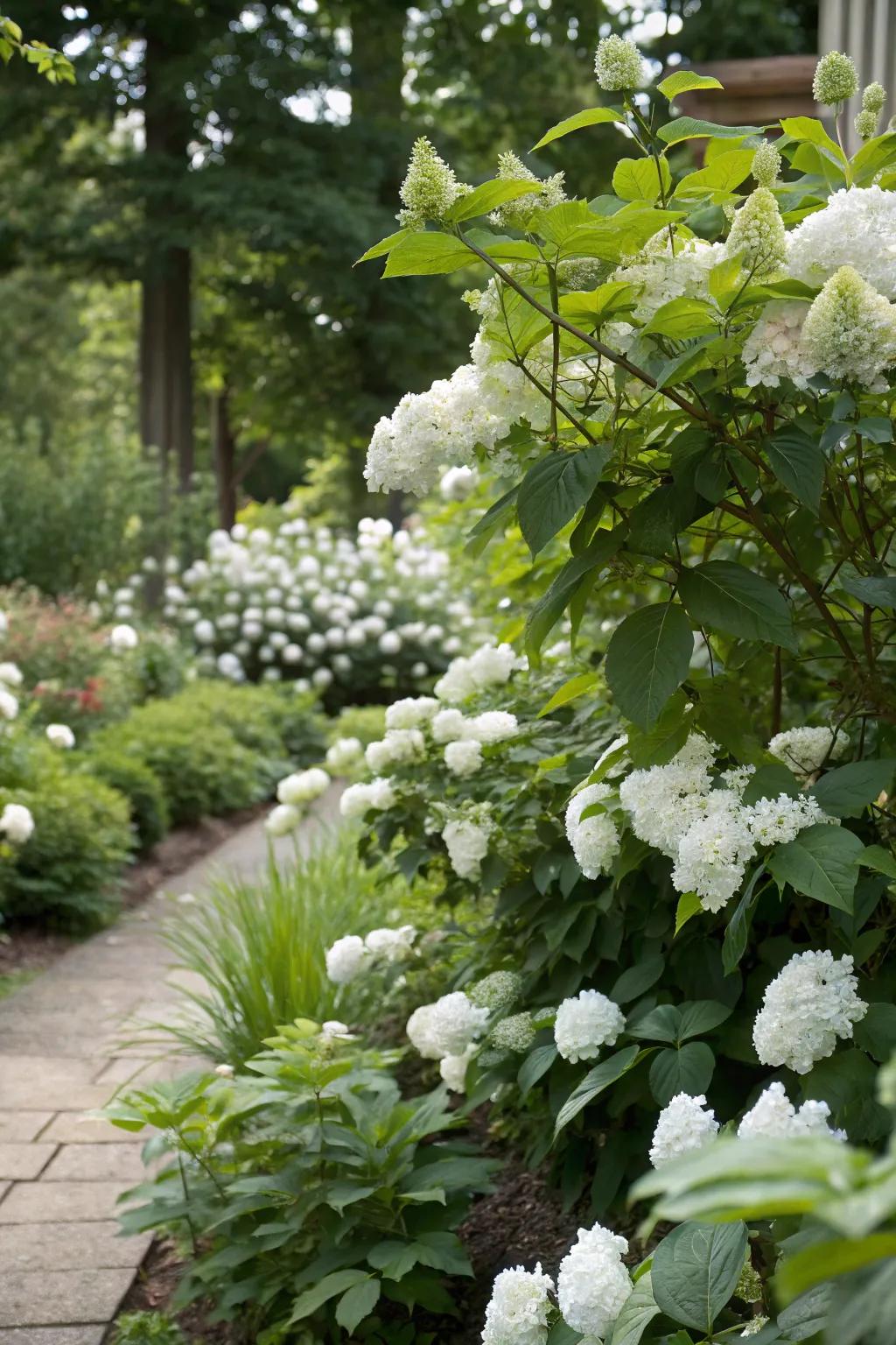 White flowers paired with greenery create a balanced garden atmosphere.