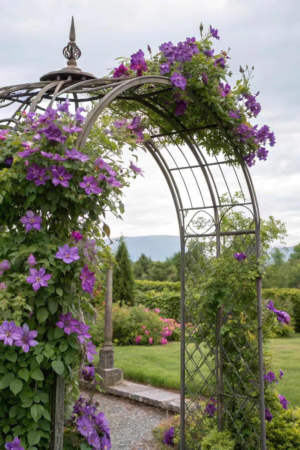 A metallic arbor gateway intertwined with clematis builds a spectacular garden gateway.
