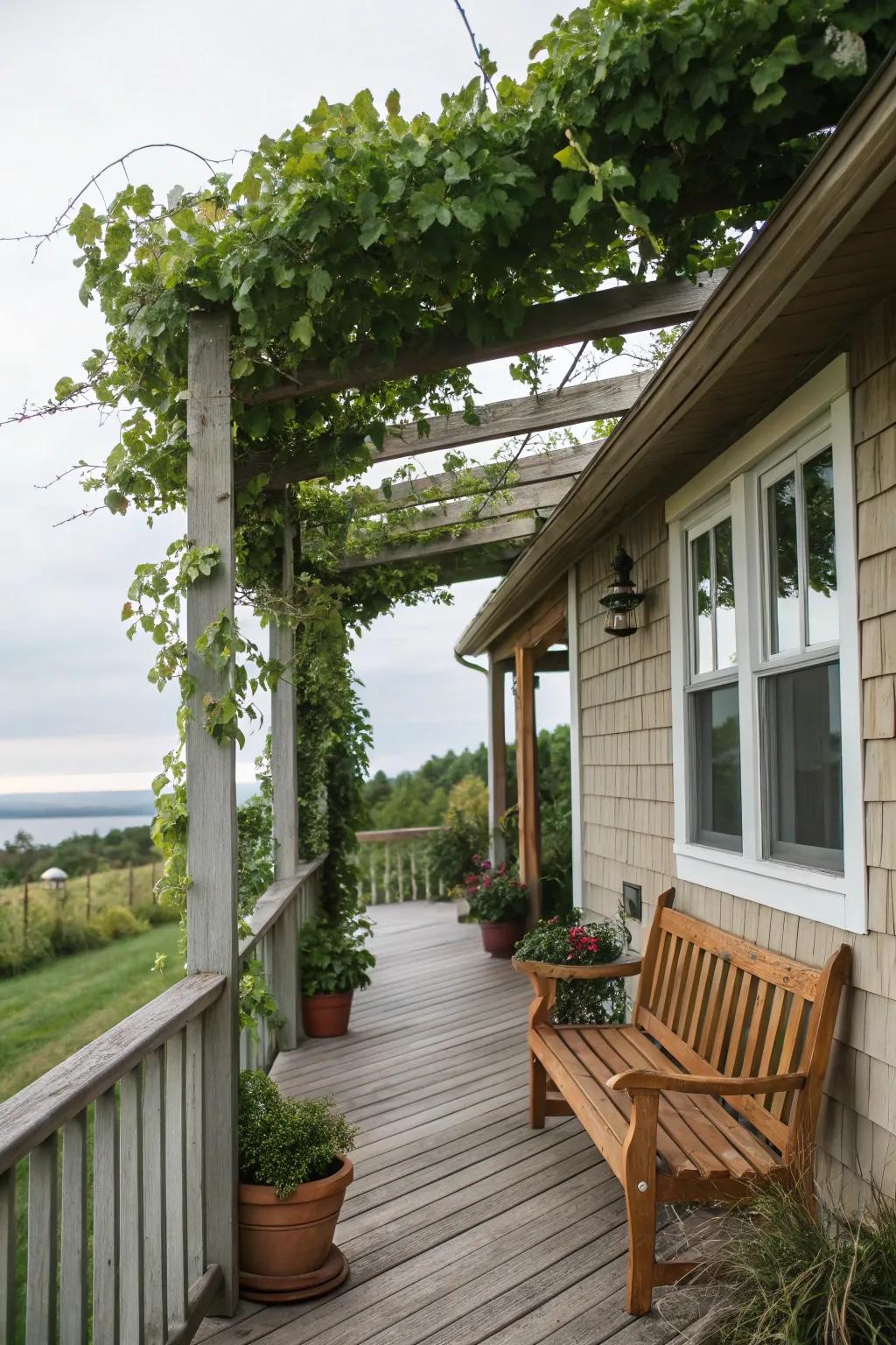A pergola creates a unique play of light and shadow.