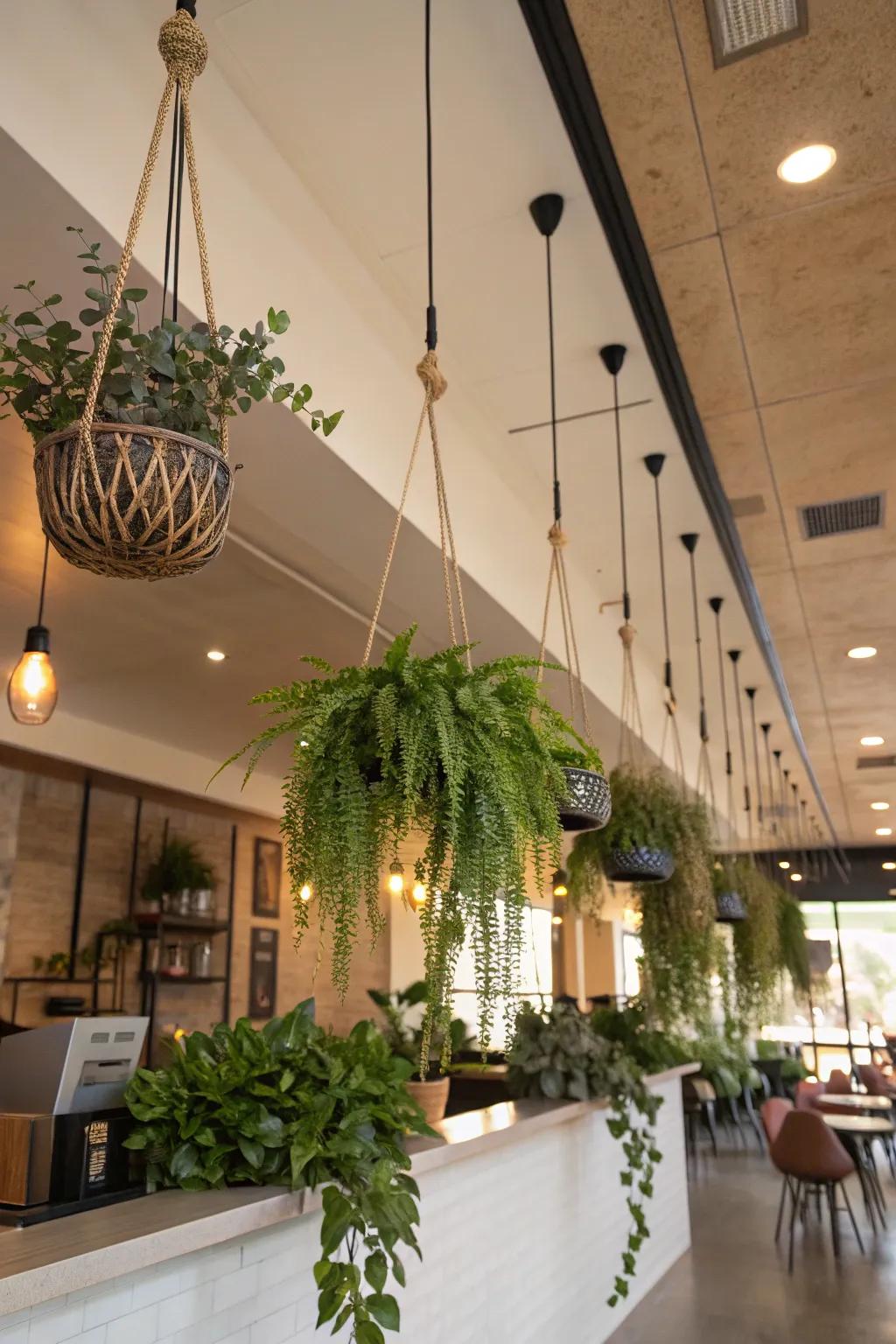 Rearrange with ease using suspended rods.