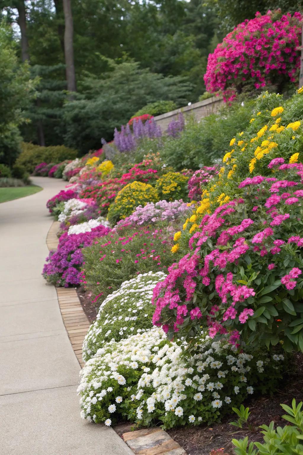 Create stunning flower beds with layers of color and texture.