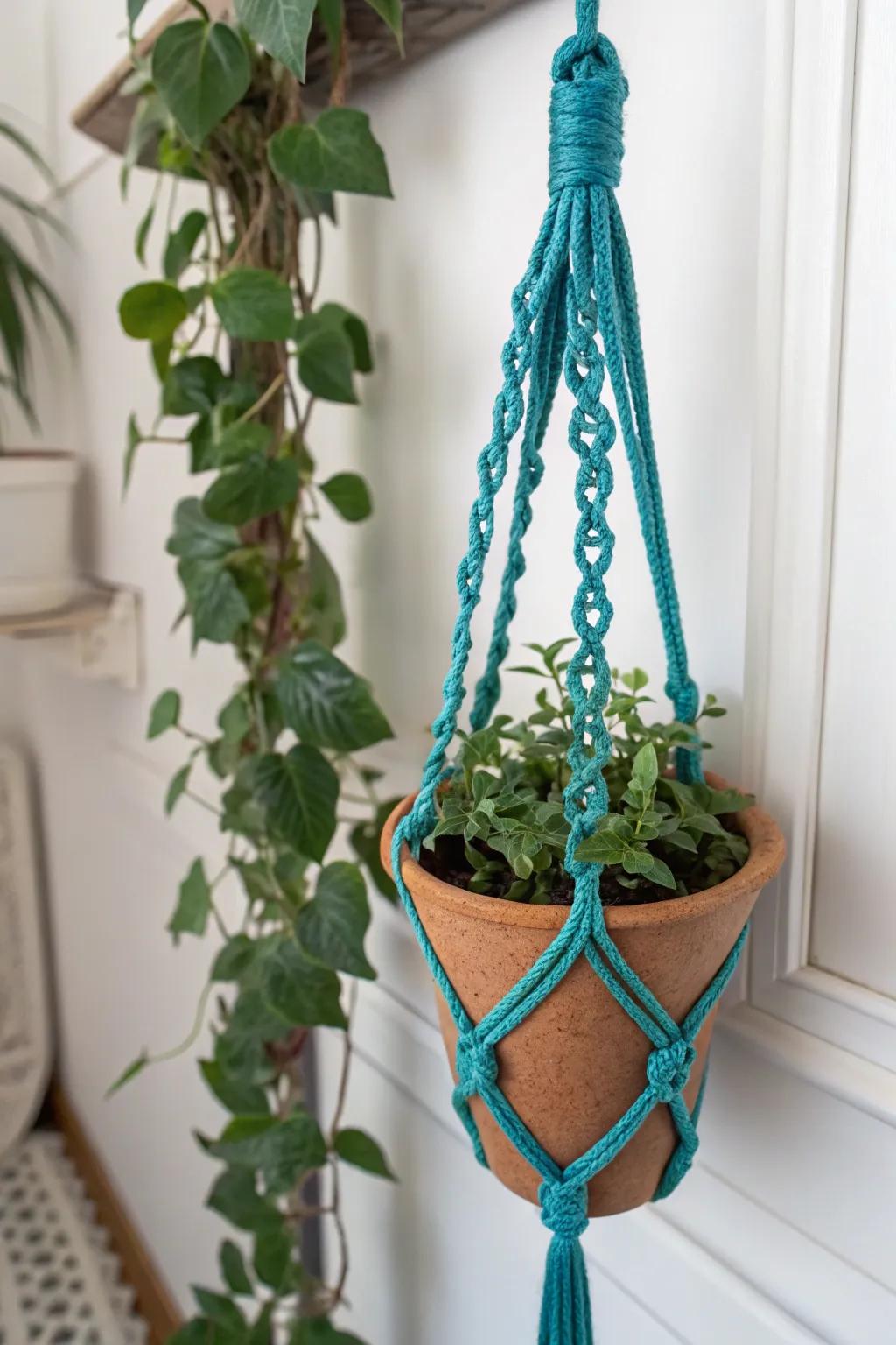 Brighten your space with a pop of color and timeless macrame elegance.