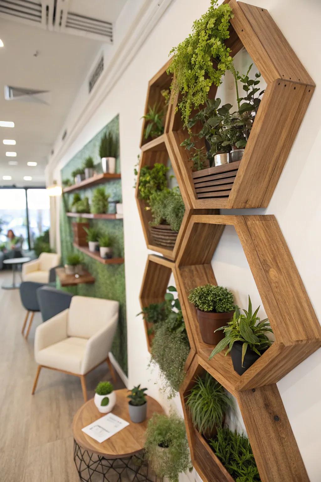 Contemporary geometric shelves create an elegant display for plants.