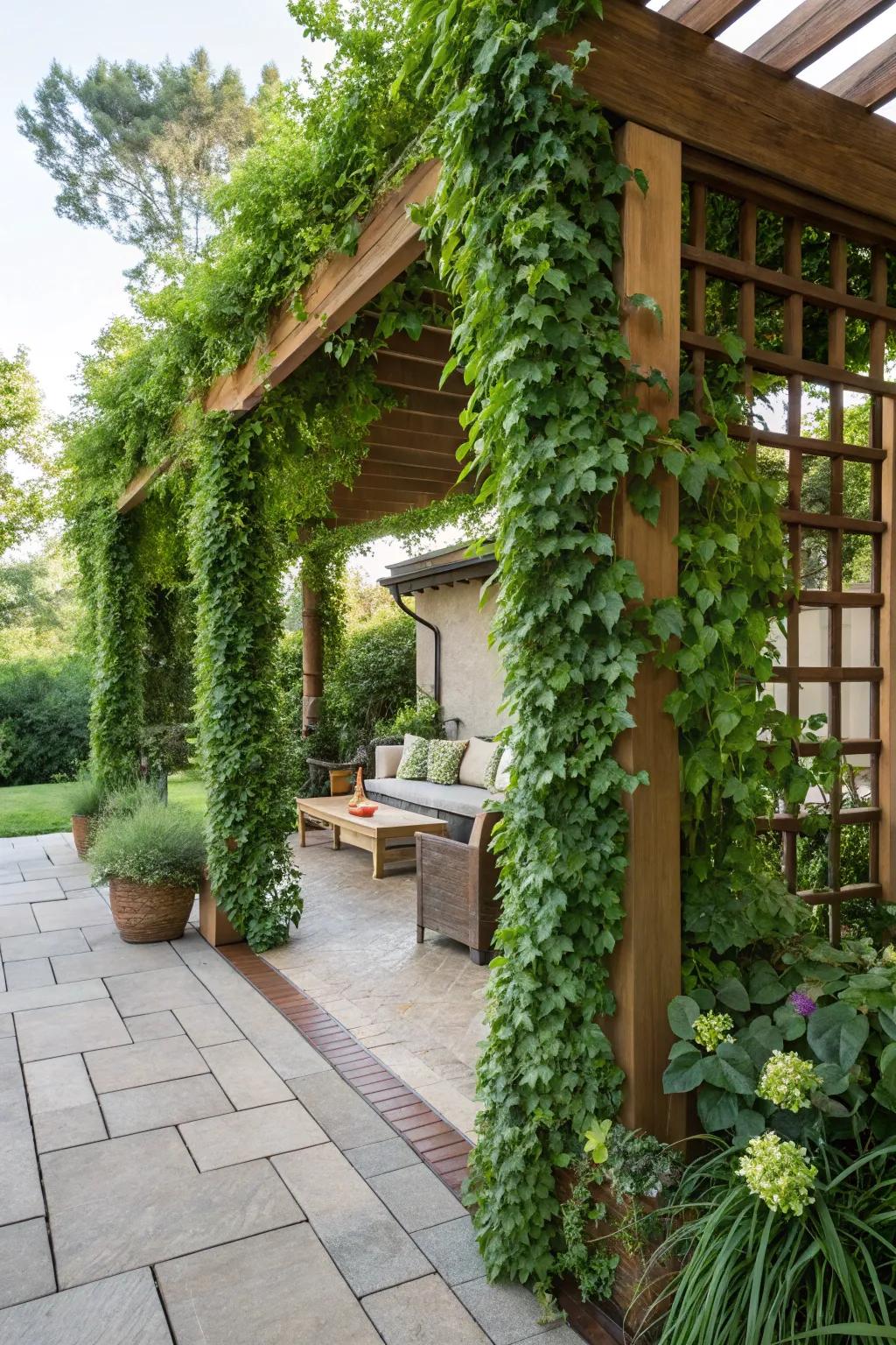 Living wall trellises bring lush greenery to any space.