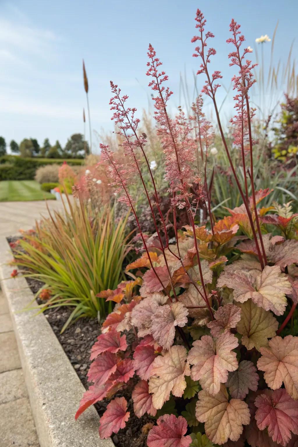 A layered garden bed with coral bells adds depth and dimension to the landscape.