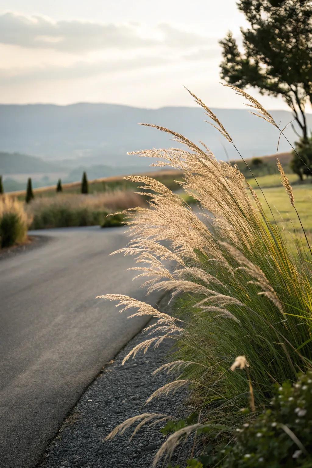 Elegant grasses add texture with motion to your garden.
