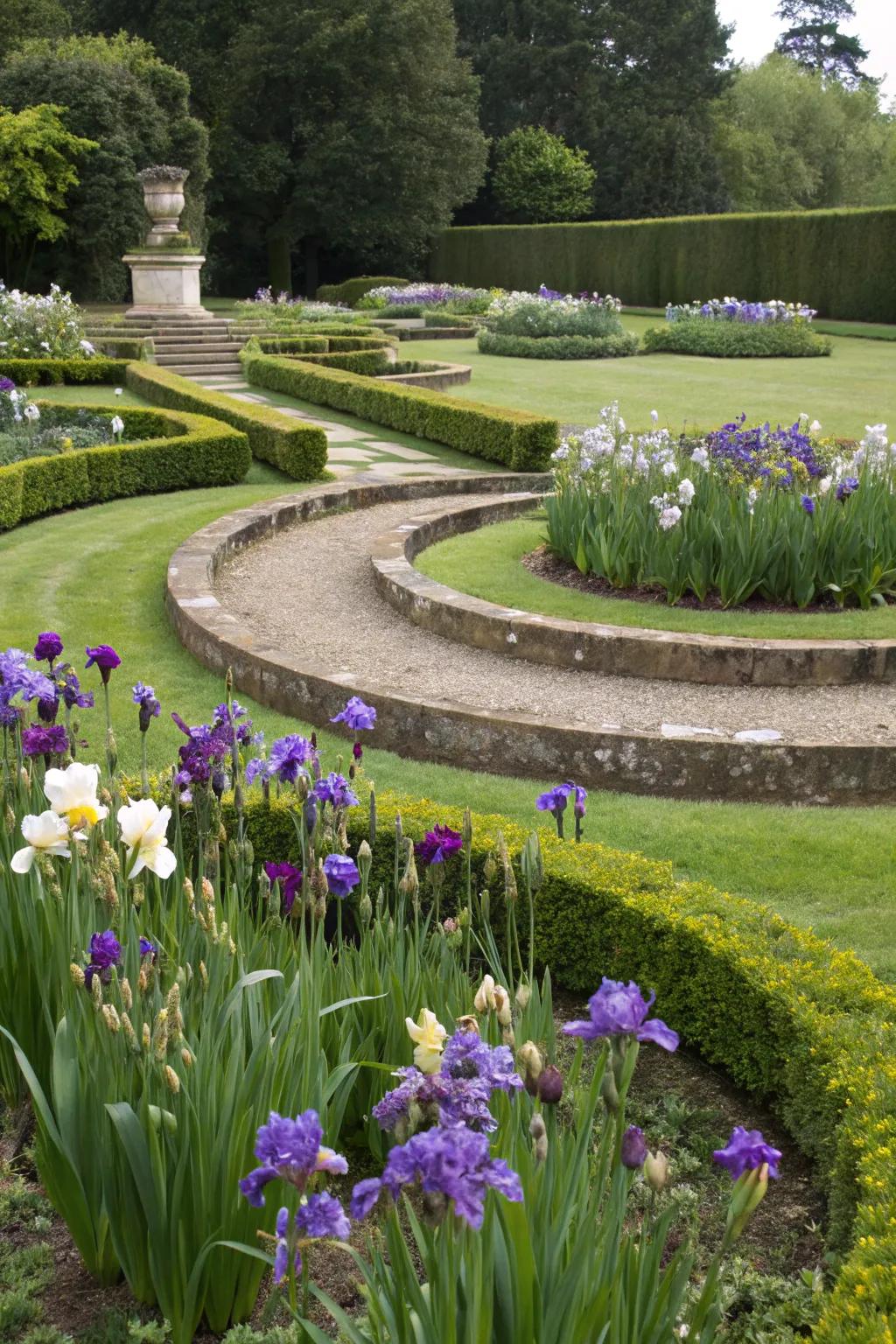 Circular arrangements of irises creating focal points in the garden.