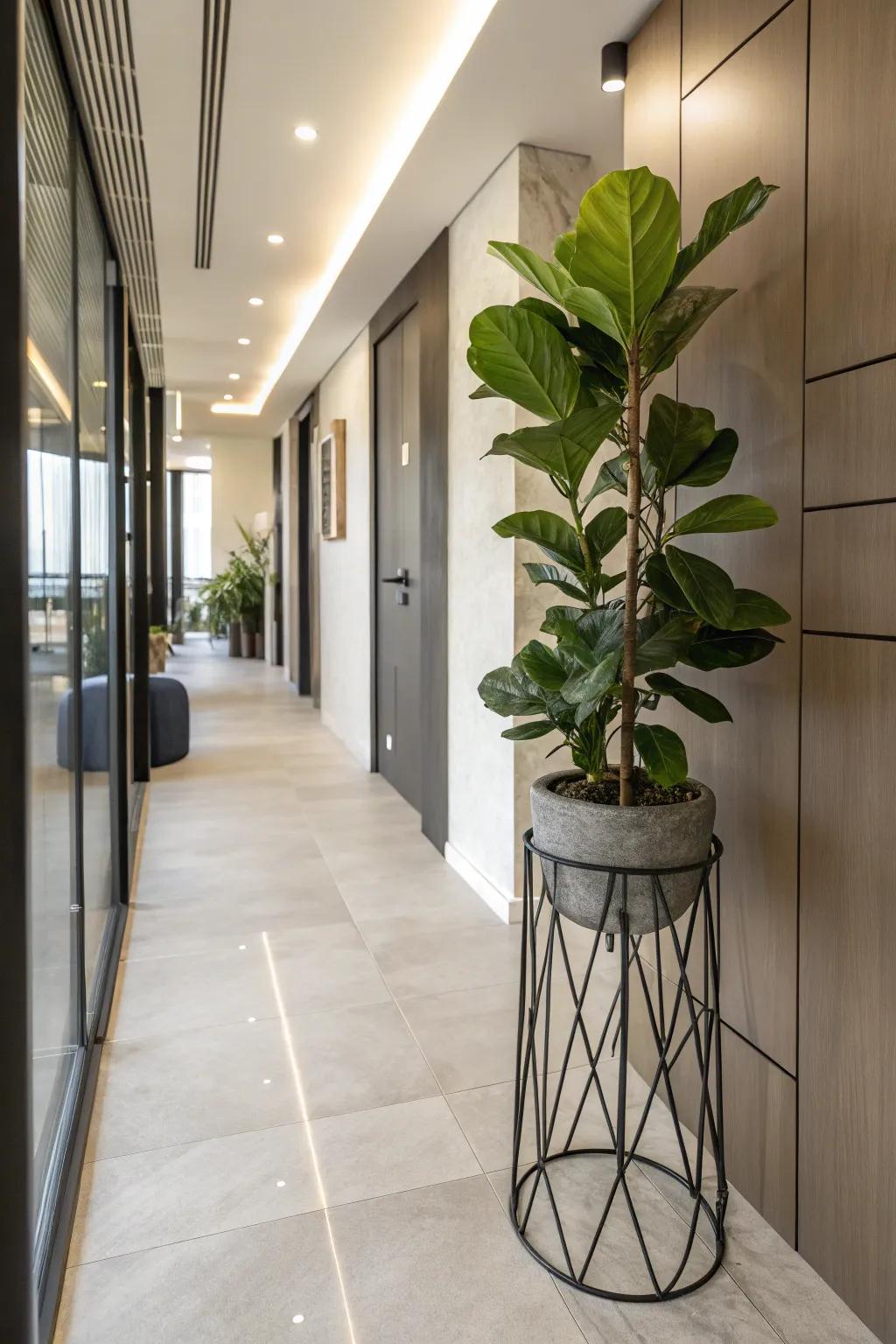 Add a modern touch with chic metal plant stands.