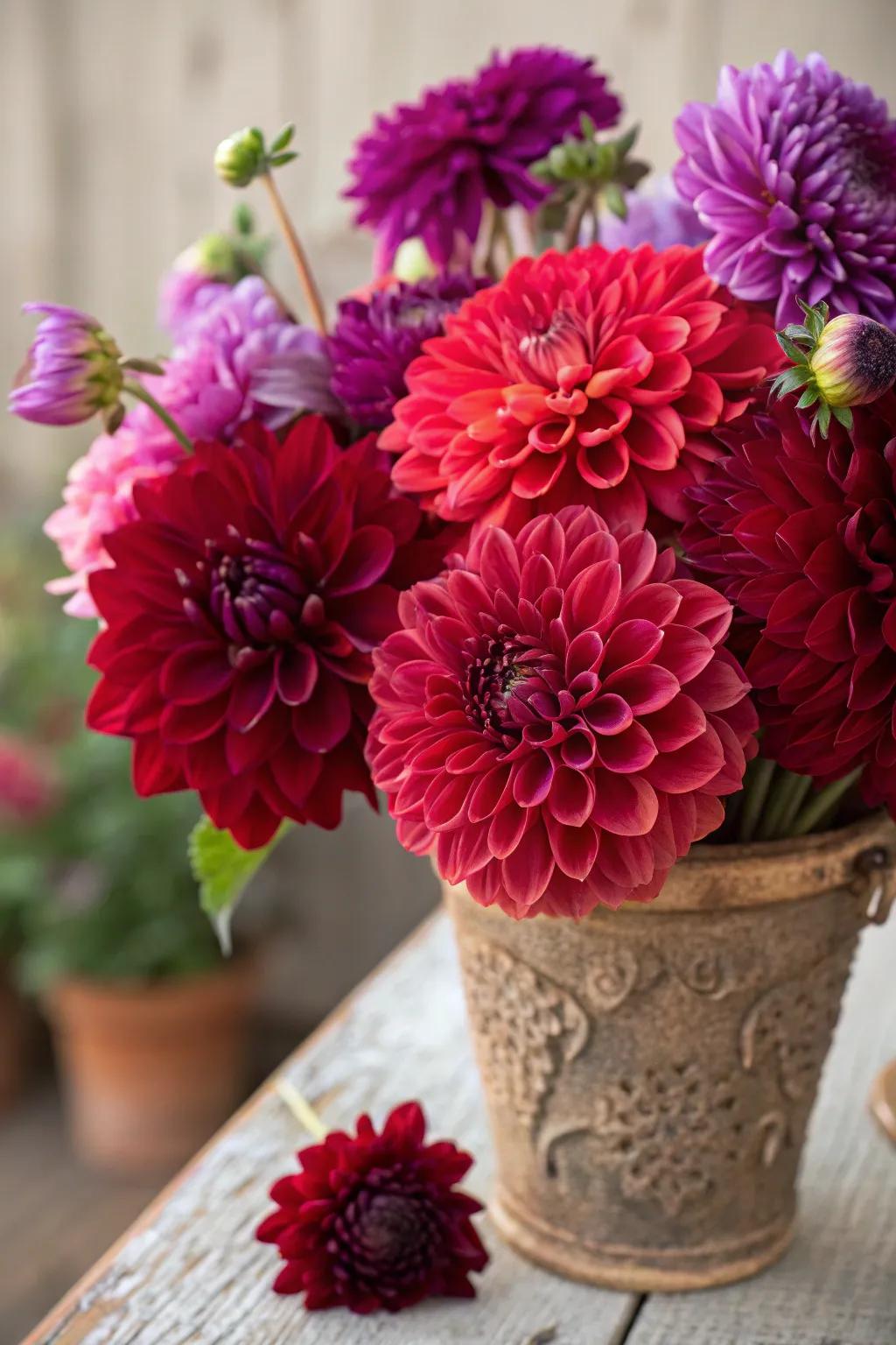 A prominent dahlia arrangement showcasing intense autumn shades.