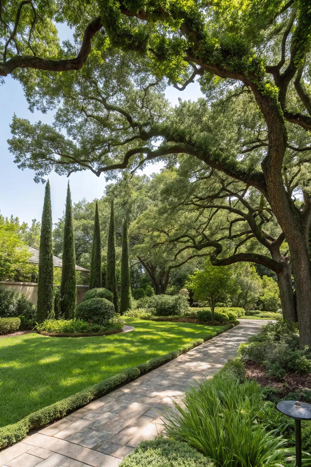 Native trees offer shade and resilience in Houston gardens.