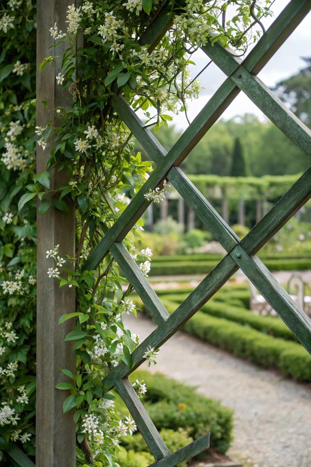 Unleash your artistic flair with patterned star creeper designs.