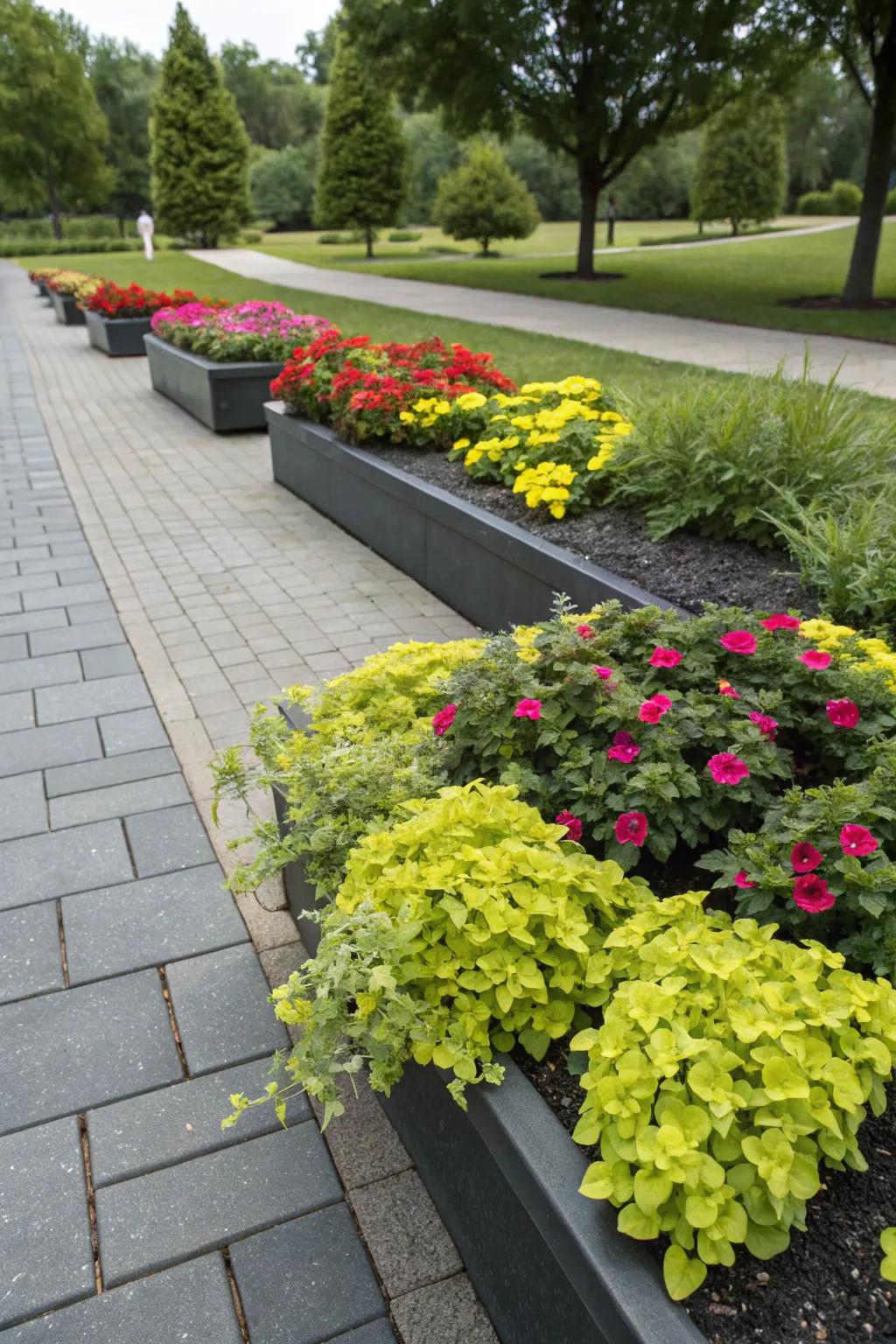 Contrasting hues generate a visually striking garden.