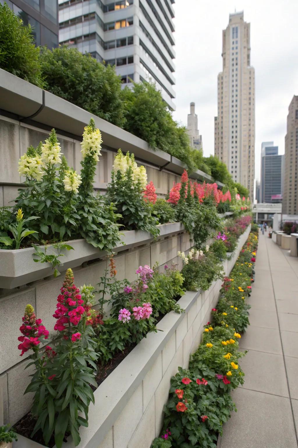 Snapdragons add height and visual interest to a vertical garden.