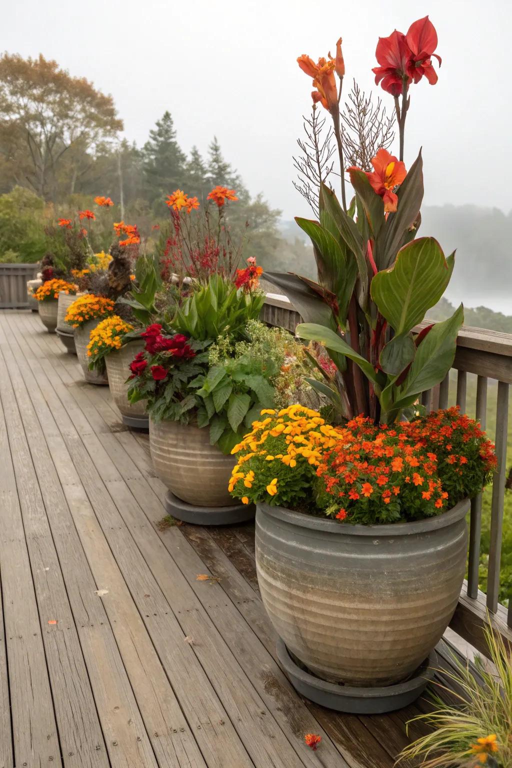 Glory plants matched with seasonal flowers for a year-long display.