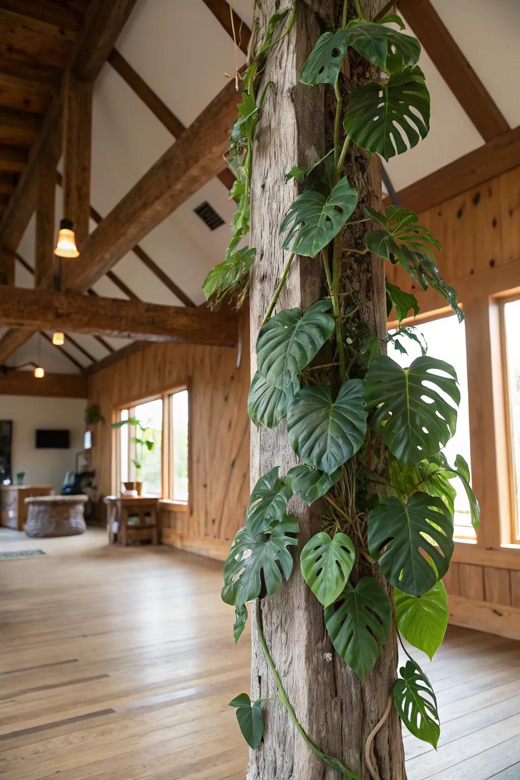 You can't go wrong when you combine nature with rustic elements.